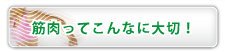 筋肉ってこんなに大切！