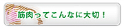 筋肉ってこんなに大切！